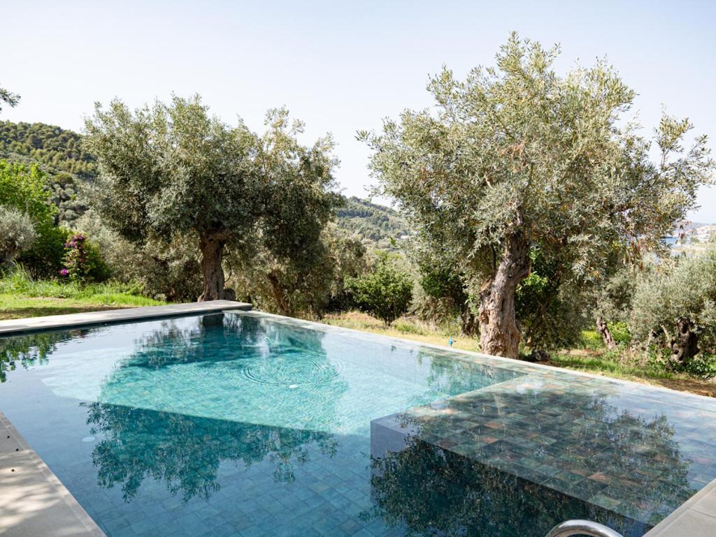 Dohos Skiathos Suites Ksanemos Kültér fotó