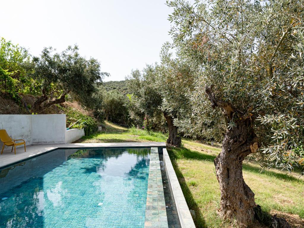 Dohos Skiathos Suites Ksanemos Kültér fotó
